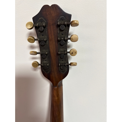 46 - Alfredo Albertini catania mandolin in reasonable condition.