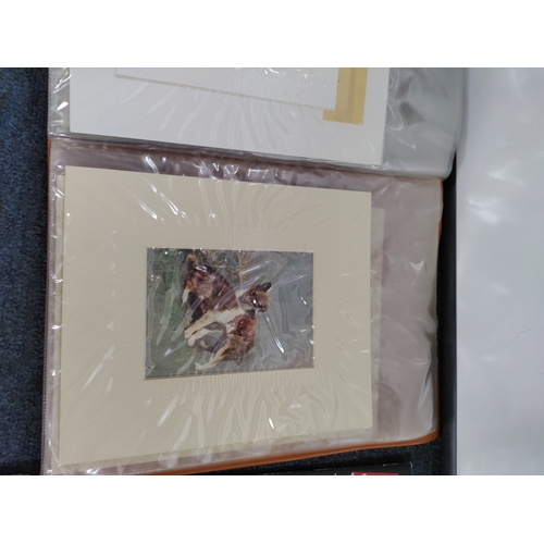 191 - A collection of magazines to include super stars, murder in mind and butt-ugly martians 1st editions... 