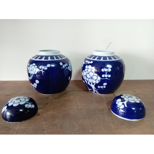 243 - A pair of Chinese prunus ginger jars