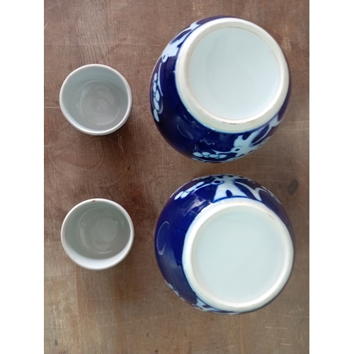 243 - A pair of Chinese prunus ginger jars