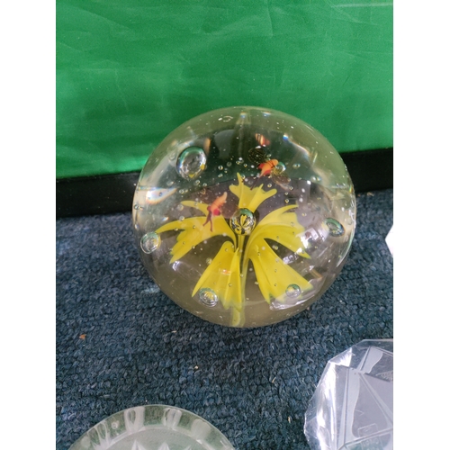 45 - A Collection of nine Glass Paperweights of varying sizes and patterns