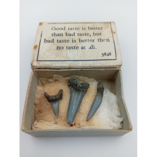 Lot 70        