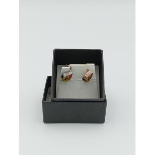 370 - A 'made with real flowers' pair of earrings. Featuring real flowers inside resin.