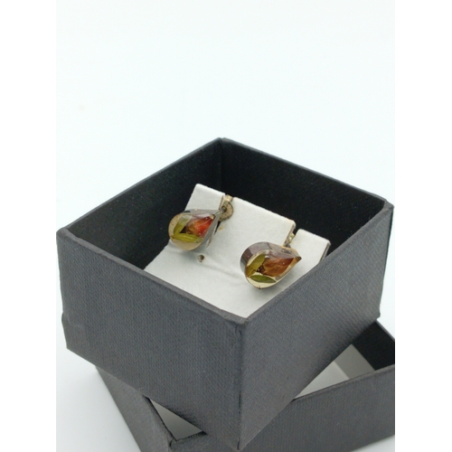 370 - A 'made with real flowers' pair of earrings. Featuring real flowers inside resin.