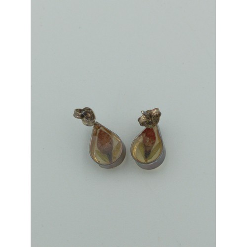 370 - A 'made with real flowers' pair of earrings. Featuring real flowers inside resin.