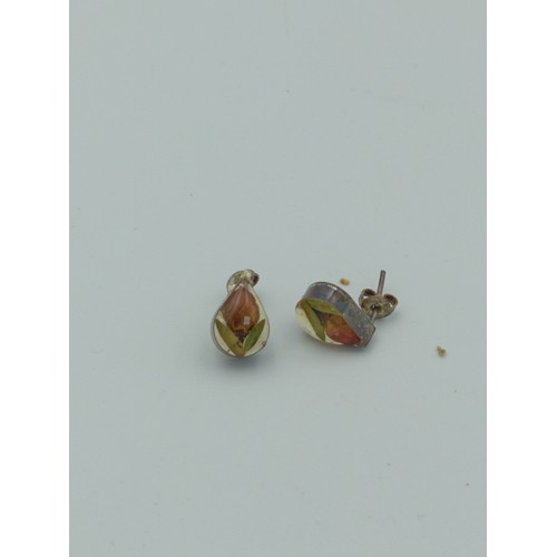 370 - A 'made with real flowers' pair of earrings. Featuring real flowers inside resin.