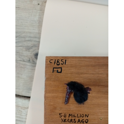 6 - The 'Evolution' of man with a twist by sculpture by W. Hudson.