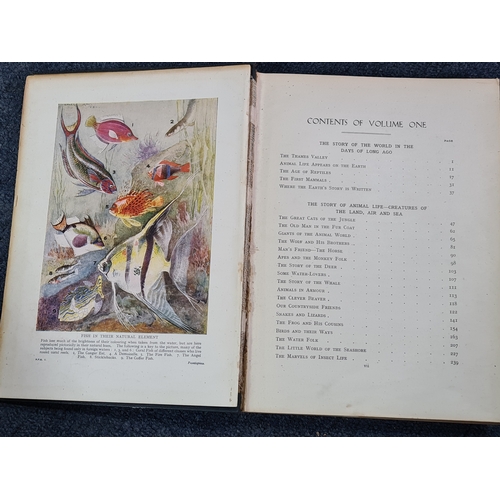 38 - A collection of 12 vintage hard back books to include: 25 years of His Majesty King George V; Histor... 