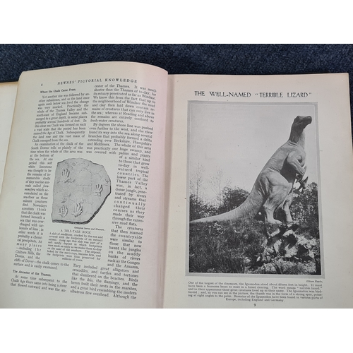 38 - A collection of 12 vintage hard back books to include: 25 years of His Majesty King George V; Histor... 