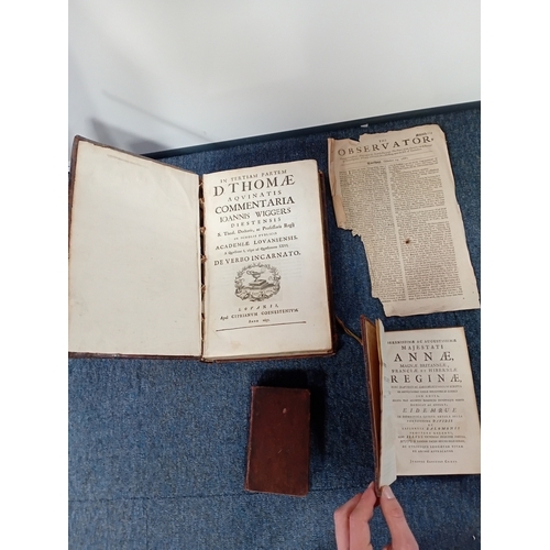 Lot 41        