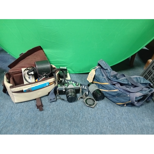 Lot 237       