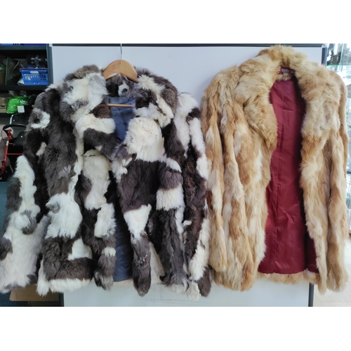 Lot 12        
