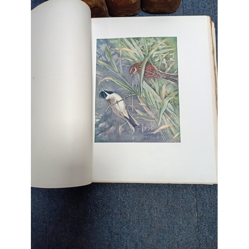 80 - This is a comprehensive 4 book set ornithological work containing a detailed description of the bird... 