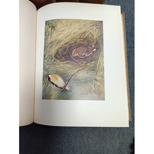 80 - This is a comprehensive 4 book set ornithological work containing a detailed description of the bird... 