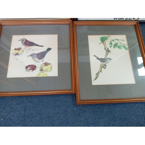 111 - A collection of prints depicting birds by Denise Wheeler, harbour with boats, Wersley