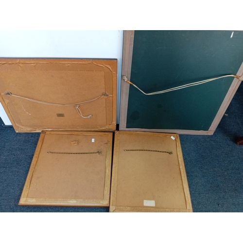 111 - A collection of prints depicting birds by Denise Wheeler, harbour with boats, Wersley