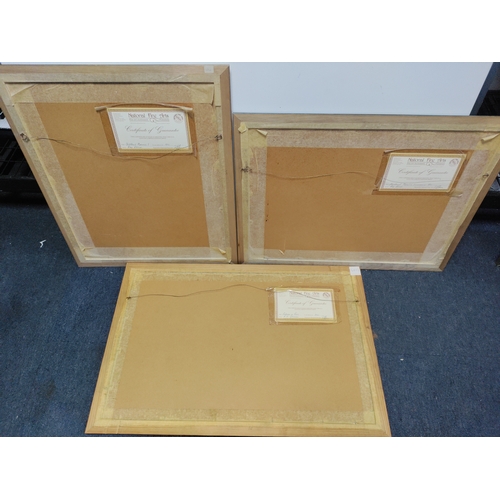 113 - A collection of 3 framed prints titled 