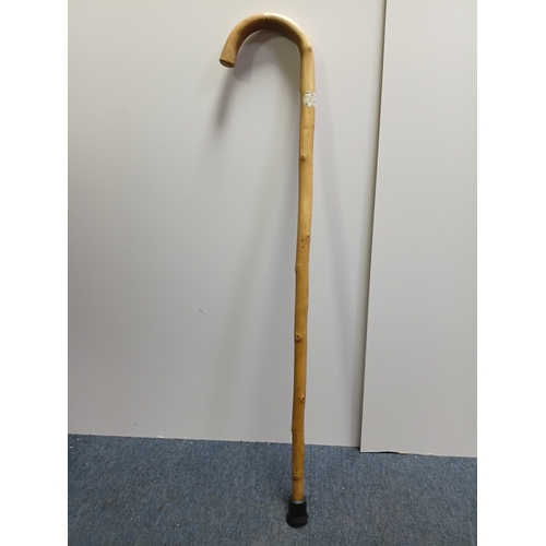 40 - A collection of walking sticks and umbrellas, with brands such as Dunlop, Lambert and Butler, Burtel... 