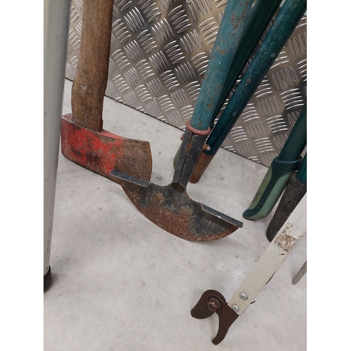 45 - A collection of gardening tools to include spade, axe, pruners, tree loppers etc.