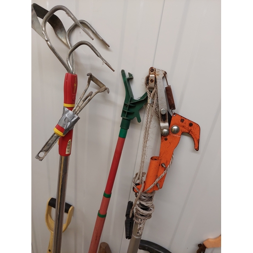 45 - A collection of gardening tools to include spade, axe, pruners, tree loppers etc.