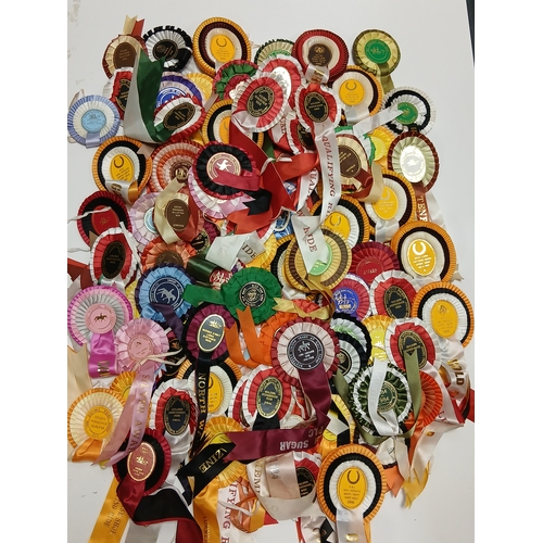31 - A job lot of assorted horse riding and racing rosettes. Some include horse and hound, British horse ... 