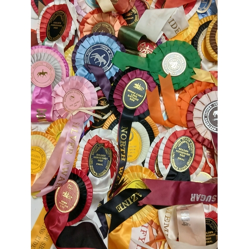 31 - A job lot of assorted horse riding and racing rosettes. Some include horse and hound, British horse ... 
