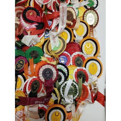 31 - A job lot of assorted horse riding and racing rosettes. Some include horse and hound, British horse ... 