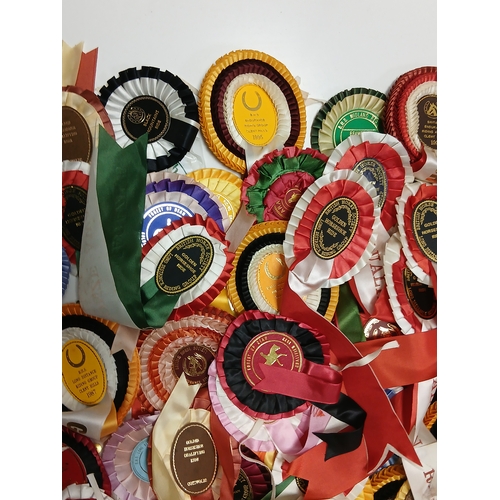 31 - A job lot of assorted horse riding and racing rosettes. Some include horse and hound, British horse ... 