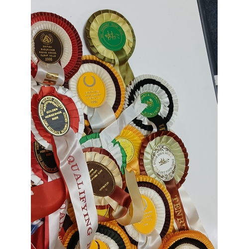 31 - A job lot of assorted horse riding and racing rosettes. Some include horse and hound, British horse ... 