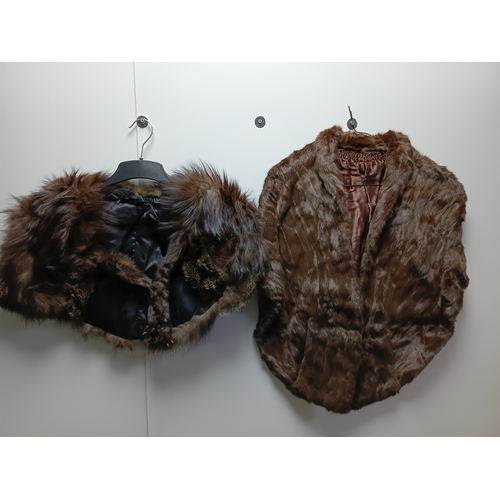 Lot 255       