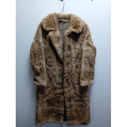 Lot 256       