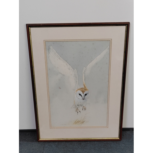 116 - A framed vintage watercolour painting by artist David Barber, depicting an owl in flight - Measures ... 