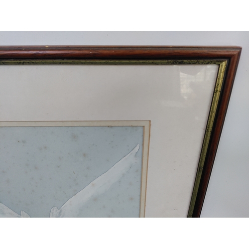116 - A framed vintage watercolour painting by artist David Barber, depicting an owl in flight - Measures ... 
