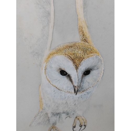 116 - A framed vintage watercolour painting by artist David Barber, depicting an owl in flight - Measures ... 