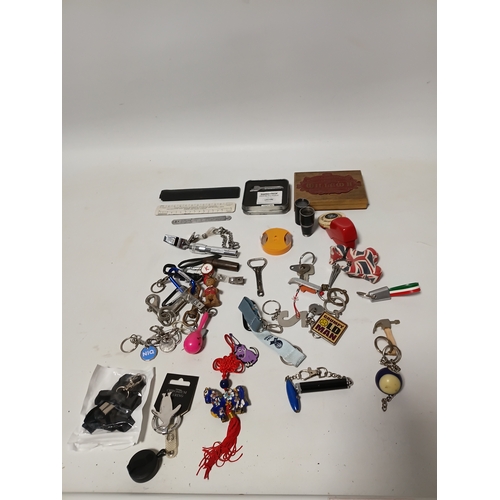 231 - A job lot of keyrings and more.