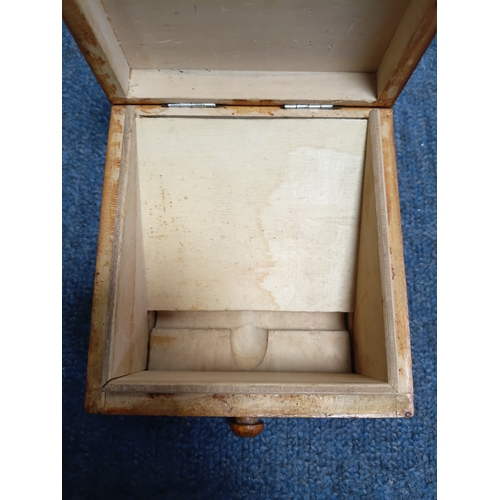 293 - A marquetry cigarette dispenser box and a Callard and Browser tin. The largest item measures height ... 