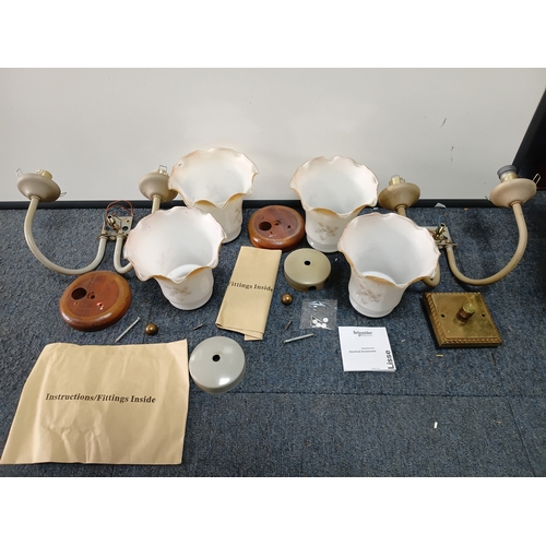 Lot 20        