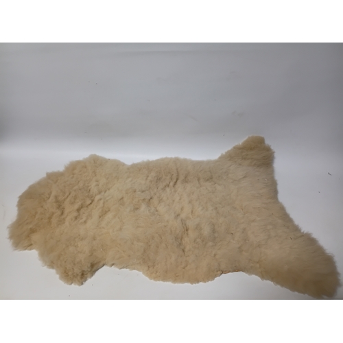 Lot 24        