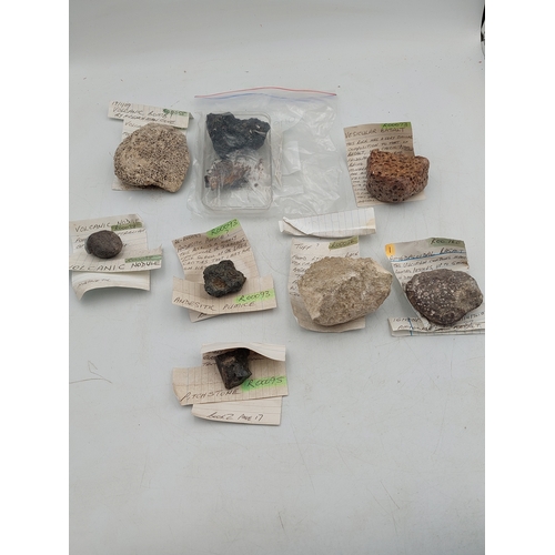 Lot 255       