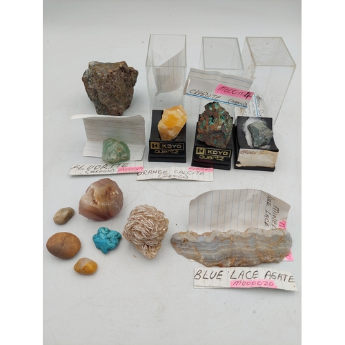 Lot 257       