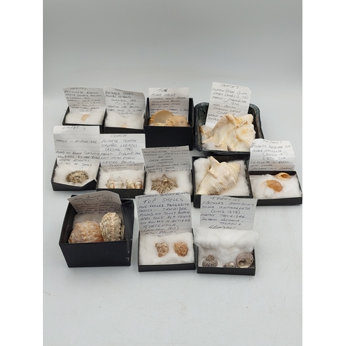 Lot 260       