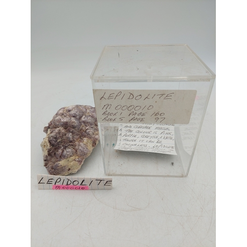 Lot 261       