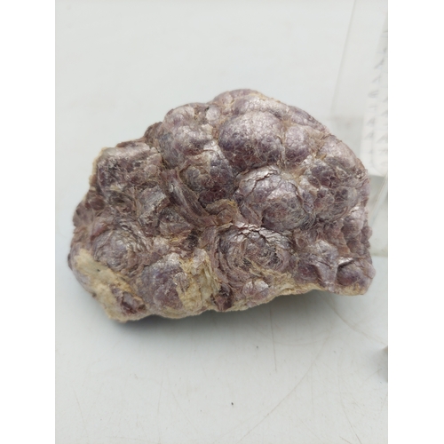 261 - A lepidolite crystal with display case. Measures 4 inches x 2 inches. Weight 515 grams.