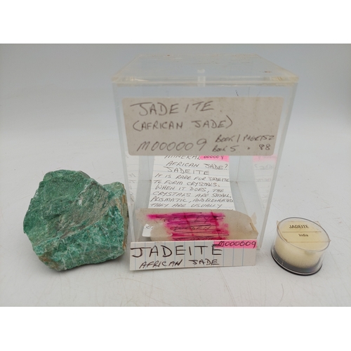 Lot 262       