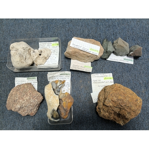 Lot 264       