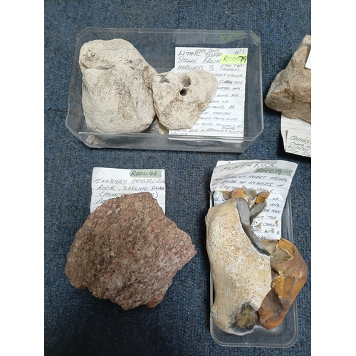 264 - A collection of stones. To include quartz rock, toodyay granite, flint and more. The largest stone m... 