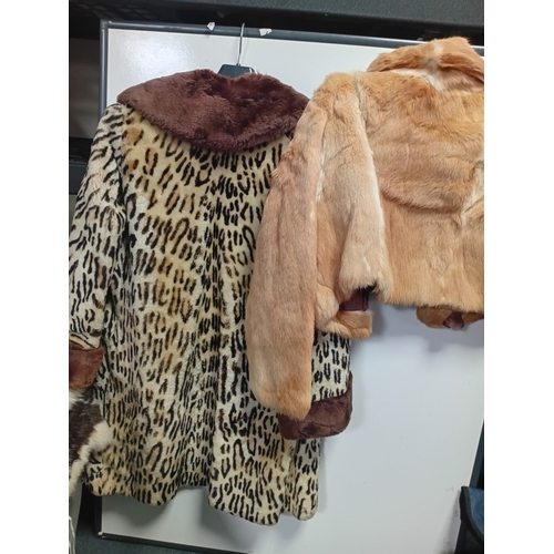 284 - A pair of fur coats - a long leopard print coat with dark brown sleeve cuffs and collar, and a suede... 