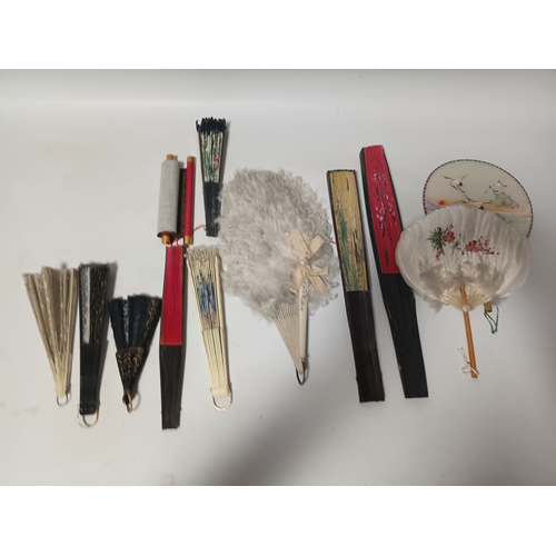 Lot 290       