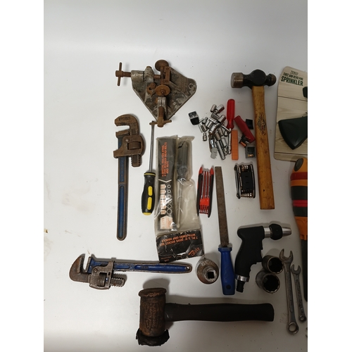 170 - A collection of hand tools to include, hammers, wrenches, spanners, screwdrivers, mole grips, pliers... 