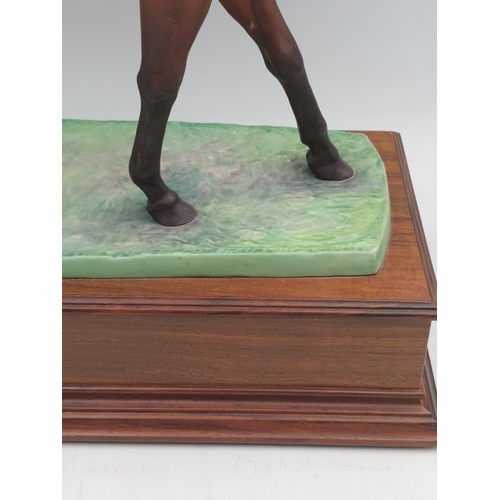260 - Albany fine bone China figurine of Red Rum and Jockey Brian fletcher. Limited edition number 78 of 5... 